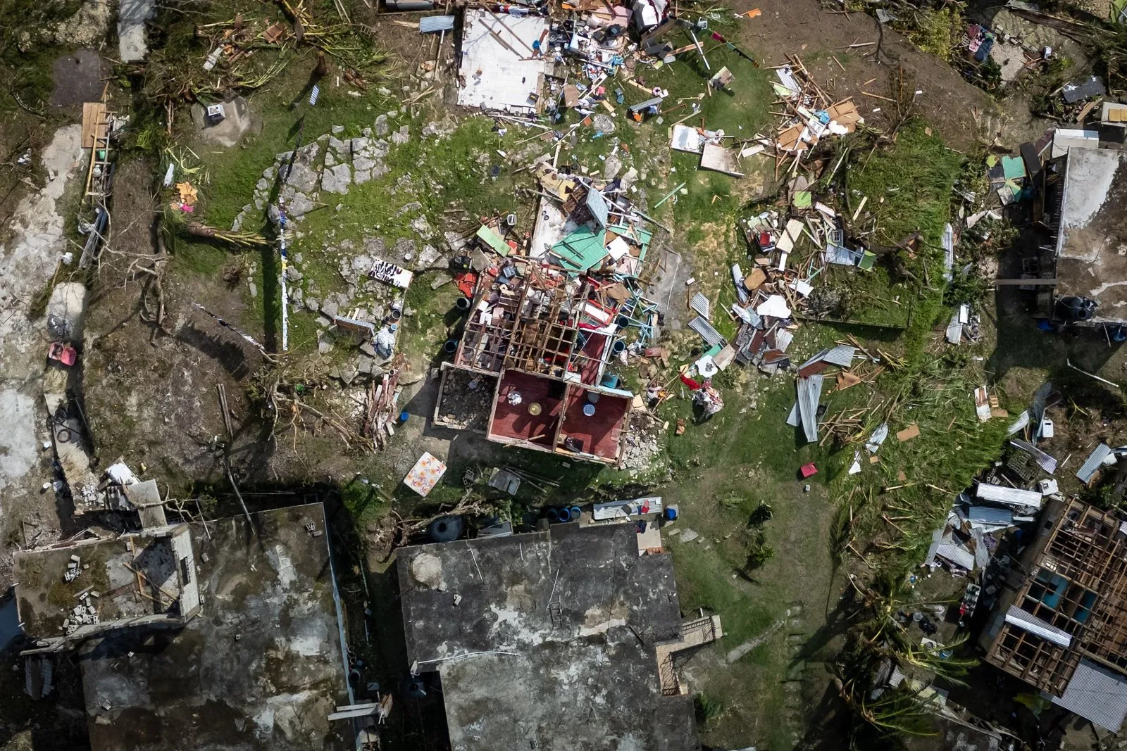 Vue d'une rue côtière balayée par les rafales de la tempête Floris, arbres penchés et ciel gris.